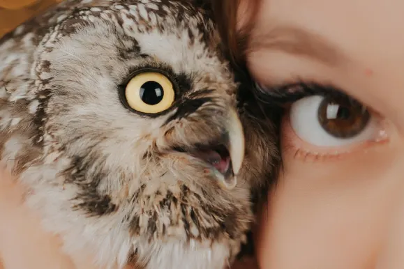 Casino Fever Bingo Ënnerstëtzung